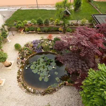 Apartment Beautiful Garden By Rent Istria Porec Exterior photo